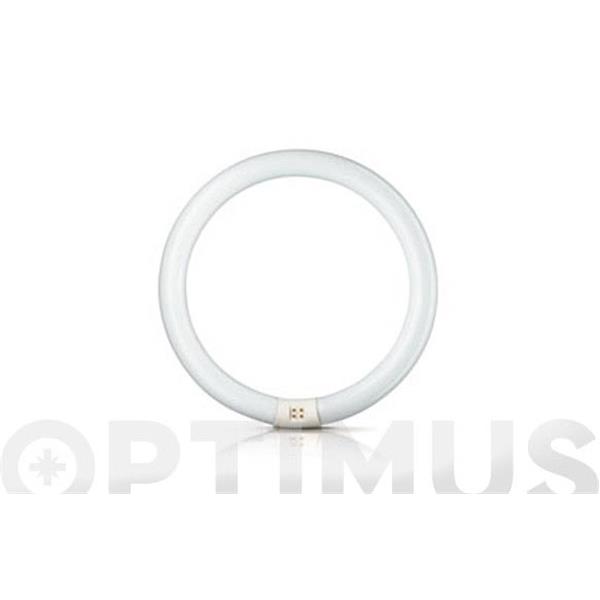 fluorescent rodo 32w dia