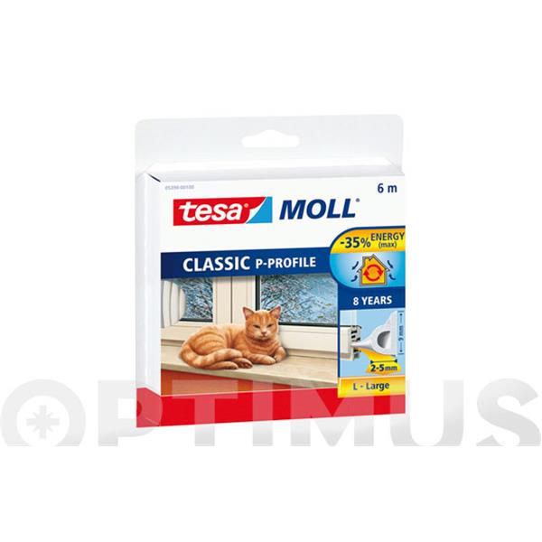 B8251-0B*10 PERFIL P BLANCO 6 mts