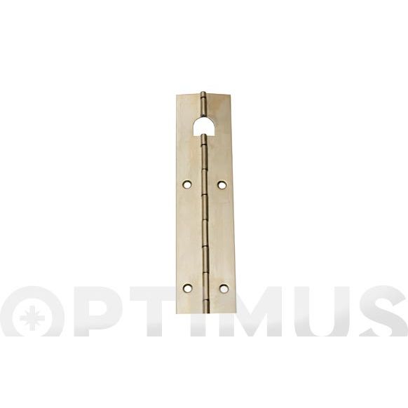 BISAGRA PIANO NIQUELADA 32X960 MM