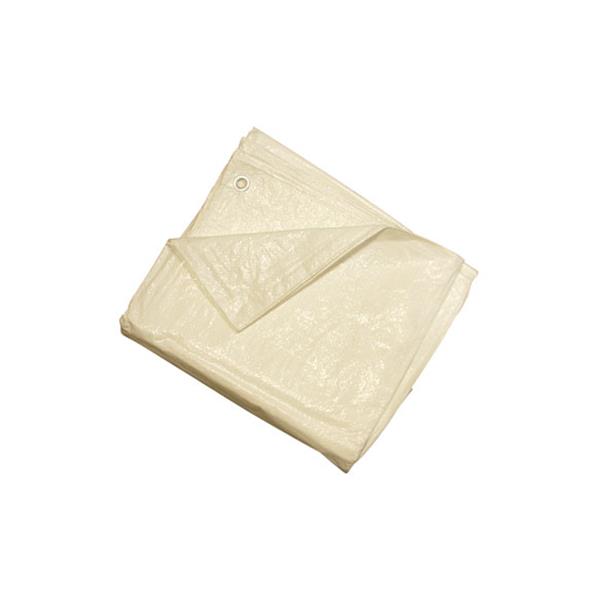 TOLDO POLIETILENO STANDARD  8X10M BLANC